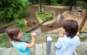 Twee kinderen kijken uit over de beren in Ouwehands Dierenpark.