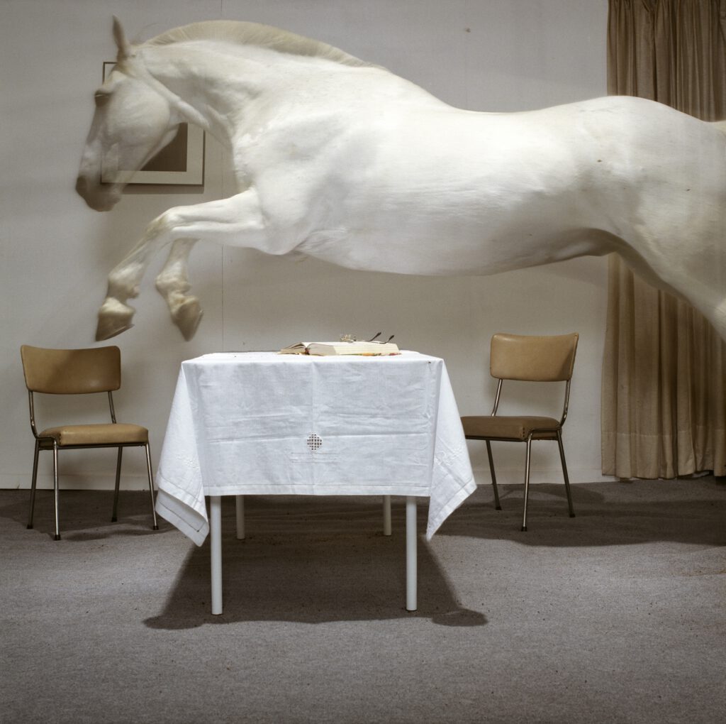 Een paard springt over een tafel in een woonkamer
